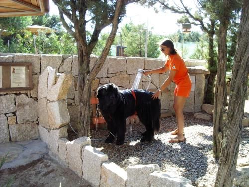 Outdoor Pictures 17