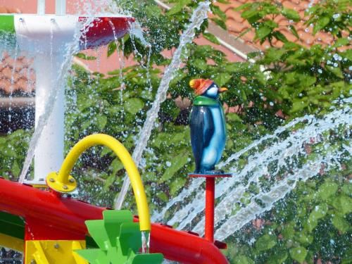 Outdoor Pictures 19