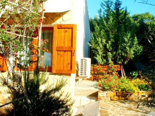 Outdoor Pictures 22