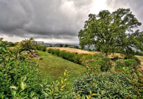 Outdoor Pictures 23