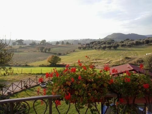 Outdoor Pictures 15