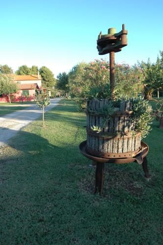 Outdoor Pictures 17