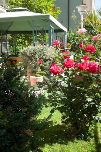 Outdoor Pictures 21
