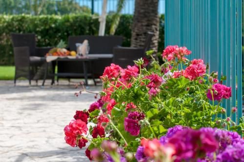Outdoor Pictures 20