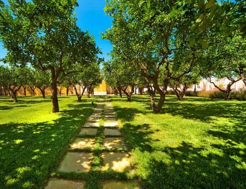 Outdoor Pictures 21