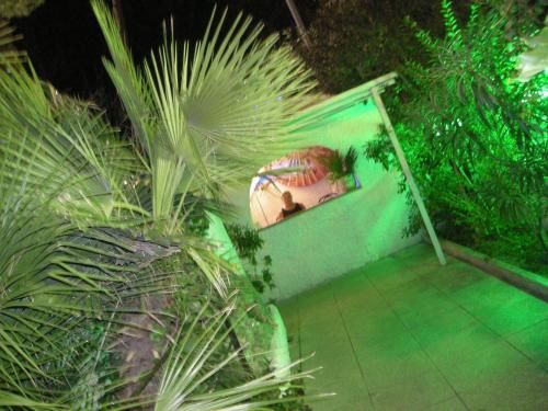 Outdoor Pictures 20