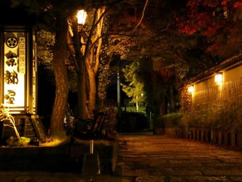 Outdoor Pictures 18