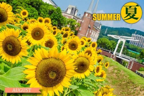 Outdoor Pictures 20