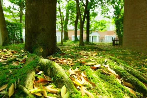 Outdoor Pictures 17