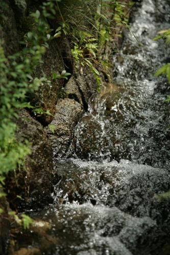 Outdoor Pictures 22