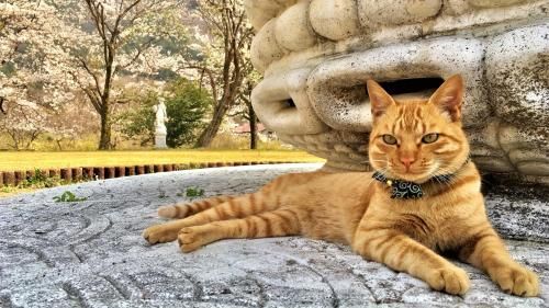 Outdoor Pictures 19