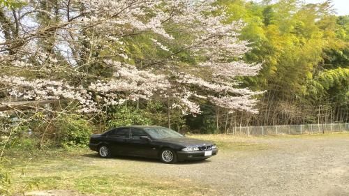 Outdoor Pictures 23