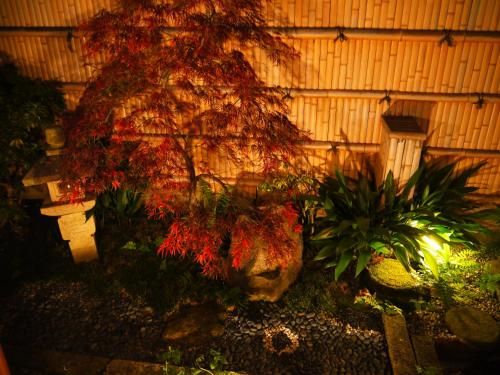 Outdoor Pictures 24