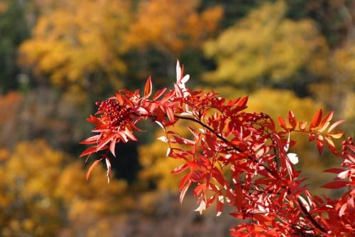 Outdoor Pictures 22