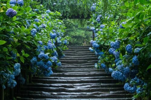 Outdoor Pictures 20