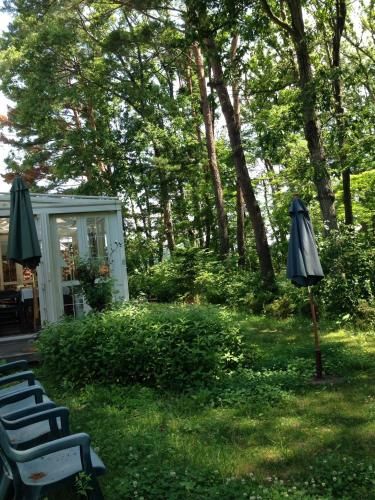 Outdoor Pictures 24