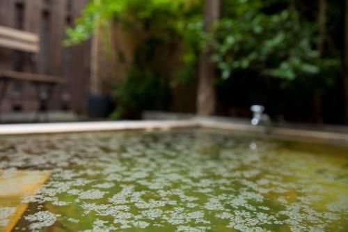 Outdoor Pictures 22