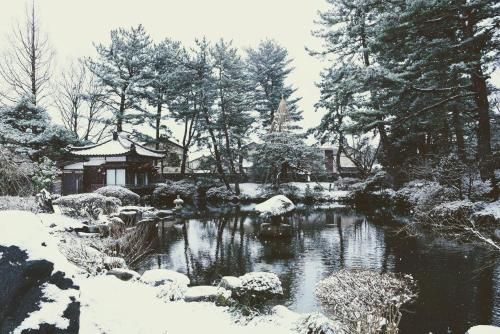 Outdoor Pictures 21