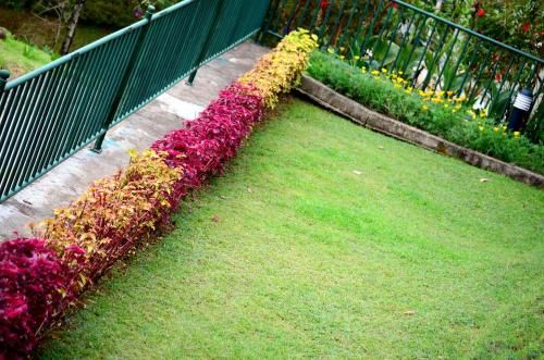 Outdoor Pictures 21