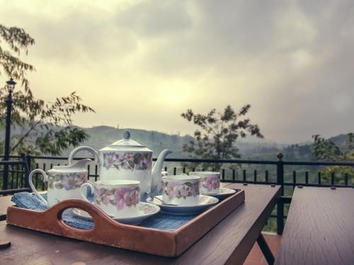 Outdoor Pictures 24