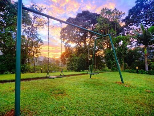 Outdoor Pictures 20