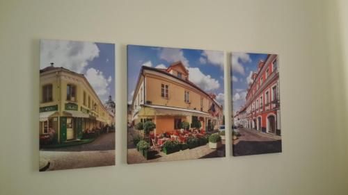 Outdoor Pictures 15