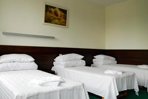 Motelis Avia
