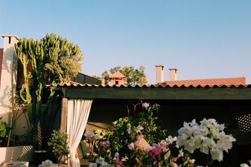 Outdoor Pictures 21