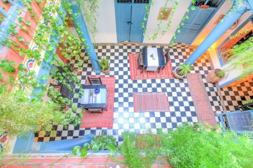 Outdoor Pictures 7