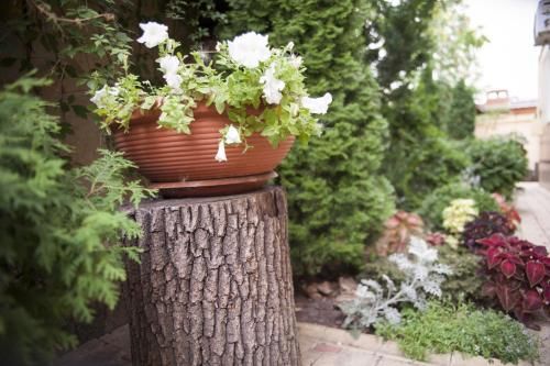 Outdoor Pictures 22