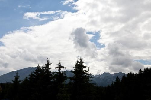 Outdoor Pictures 20