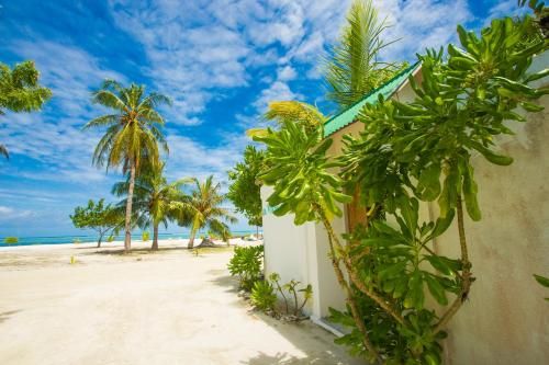 Outdoor Pictures 24