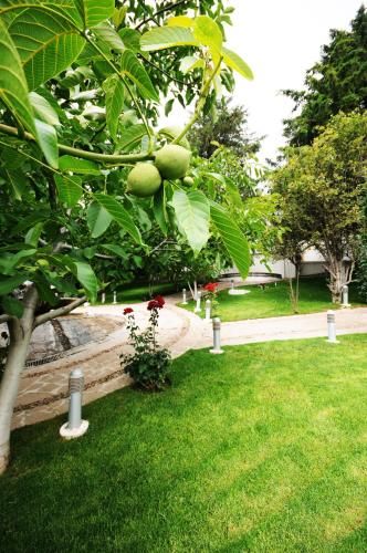 Outdoor Pictures 20