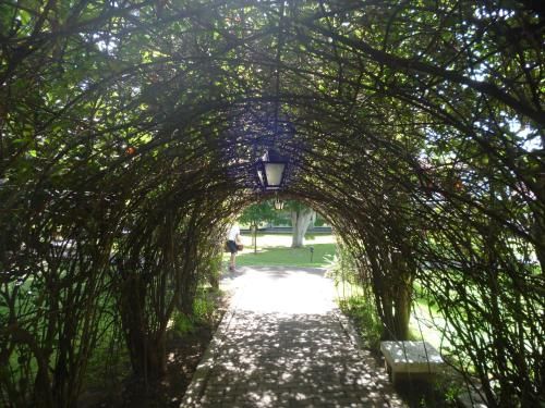 Outdoor Pictures 23