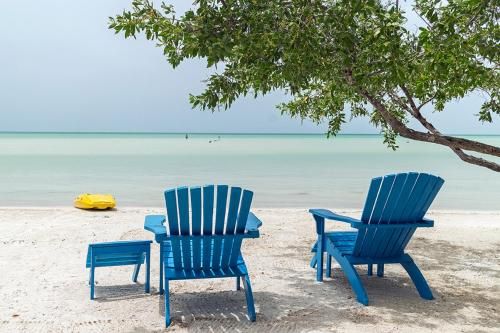 Outdoor Pictures 21