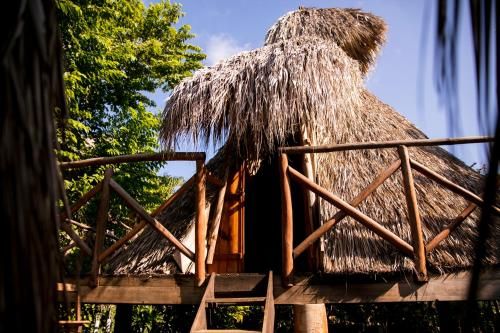 Hotel El Copal