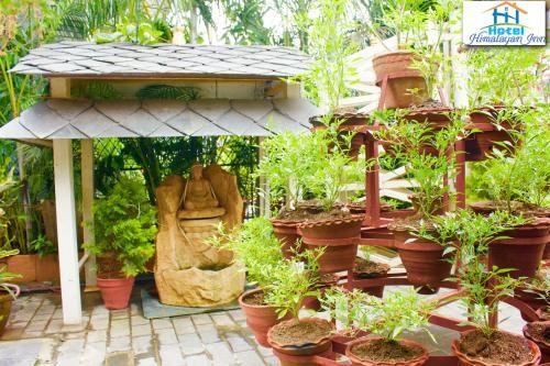 Outdoor Pictures 21