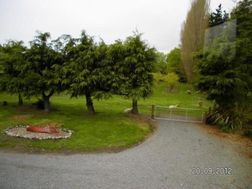 Outdoor Pictures 18