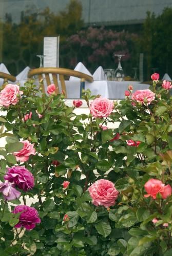 Outdoor Pictures 21