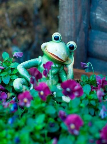Outdoor Pictures 15