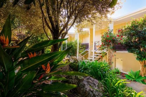Outdoor Pictures 20