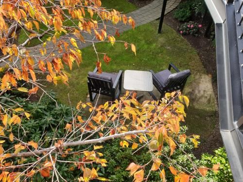 Outdoor Pictures 20