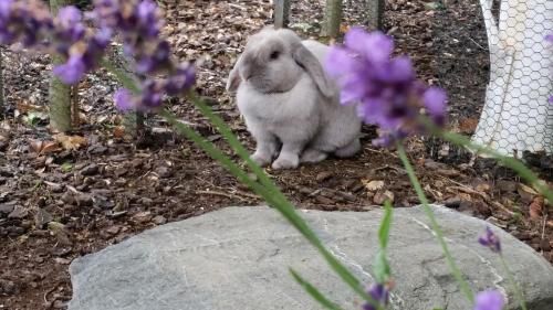 Outdoor Pictures 22