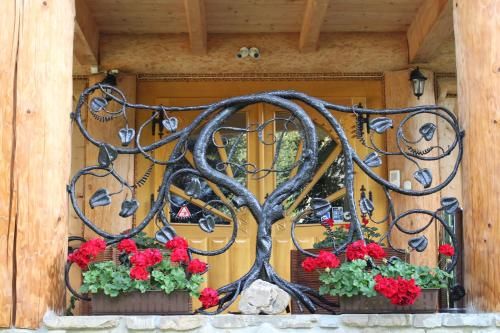 Outdoor Pictures 21