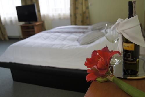 Hotel Jedlina