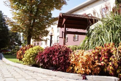 Outdoor Pictures 24