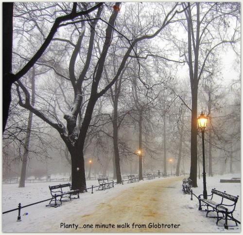 Outdoor Pictures 20
