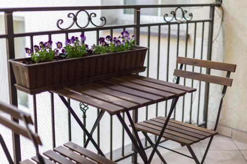 Outdoor Pictures 23