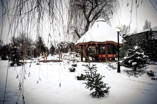 Outdoor Pictures 20