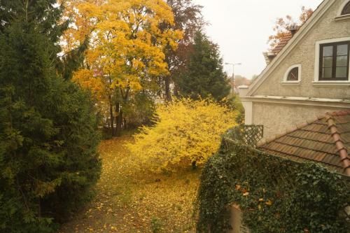 Outdoor Pictures 22